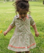 Shirtwaist dress